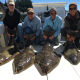 Halibut Fishing BC, Alaska - How Ucluelet compares to hotspots