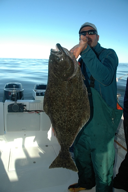 samhalibut