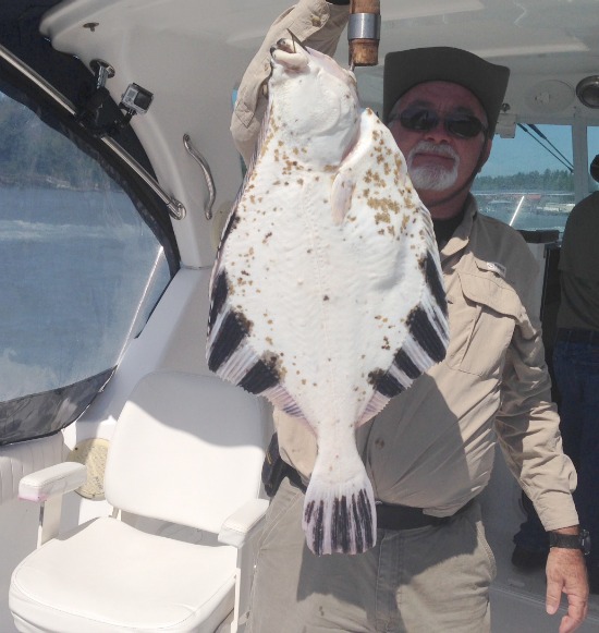 July22StarryFlounder-550