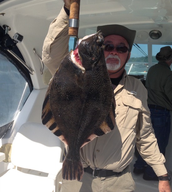 July23Starryflounder2-550